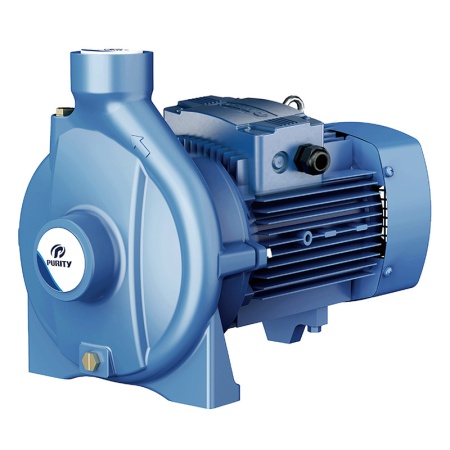 Моноблочный насос PURITY PC 5BM (N)